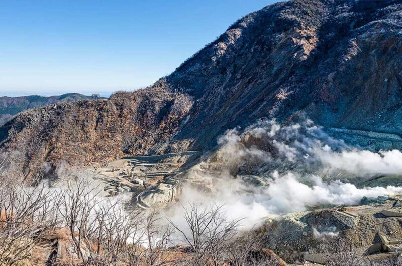 Mt.Fuji:Hakone Cruise, Ropeway&Oshino Hakkai Full-day Tour - Iconic Red Torii Gate