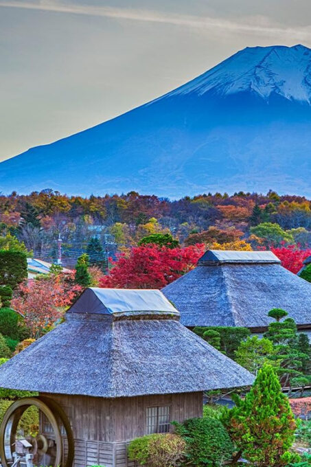Mt.Fuji:Hakone Cruise, Ropeway&Oshino Hakkai Full-day Tour - Hakone Ropeway Experience
