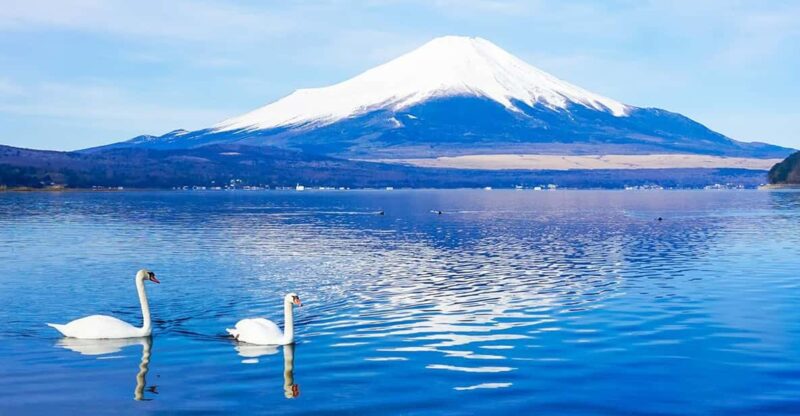 Mt.Fuji:Lake Kawaguchi,Yamanaka & Onsen Day Tour From Tokyo - Motosu Lake Shibazakura Festival