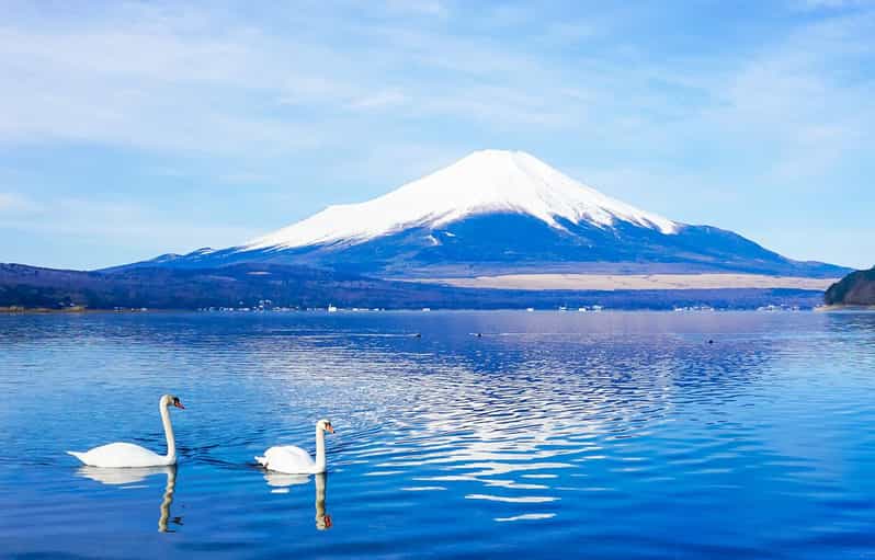 Mt.Fuji:Lake Kawaguchi,Yamanaka & Onsen Day Tour From Tokyo - Kawaguchiko Music Forest Museum