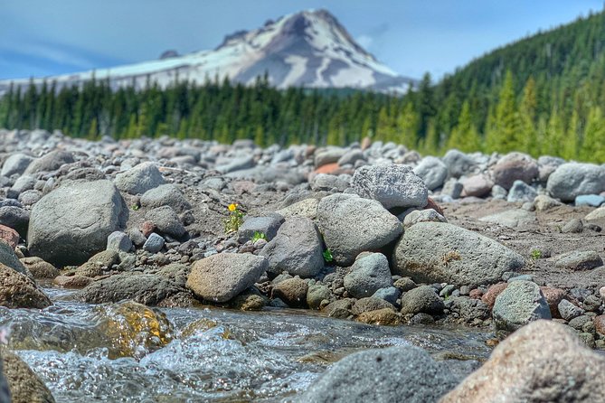Mt Hood Day Trip From Portland to Multnomah Falls and Hood River - Traveler Experiences