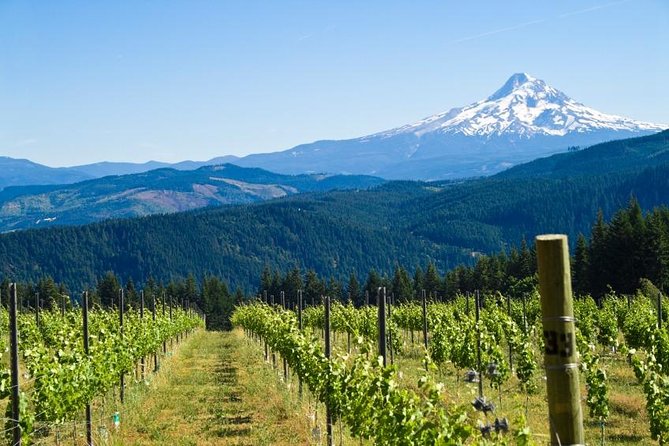 Mt. Hood/Gorge Waterfall Loop From Portland - Attractions Highlight