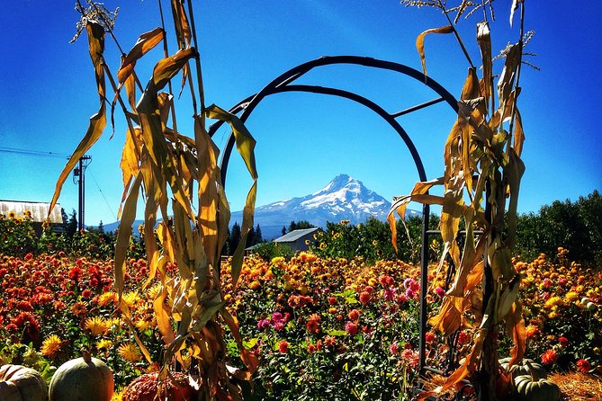 Mt Hood Loop Tour Including Multnomah Falls - Hood River Exploration