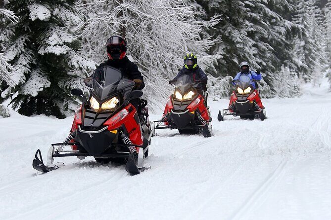 Mt Hood National Forest - 90 Minute Snowmobile Adventure - A Practical and Enjoyable Snowmobile Experience