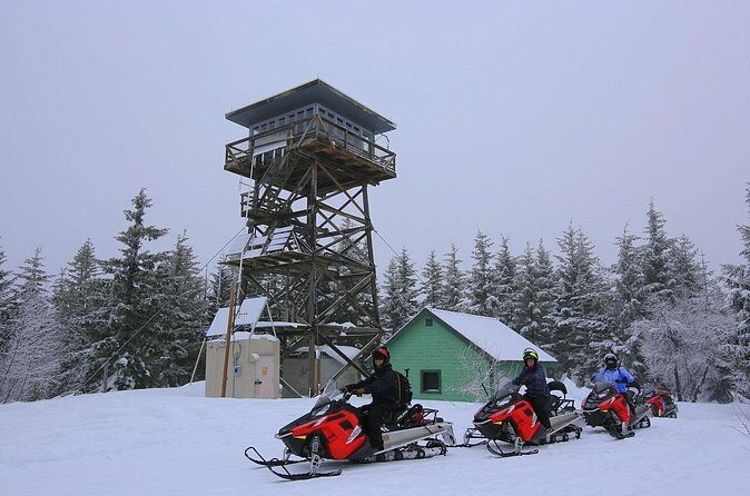 Mt Hood National Forest - 90 Minute Snowmobile Adventure - Authentic Experiences and Practical Details