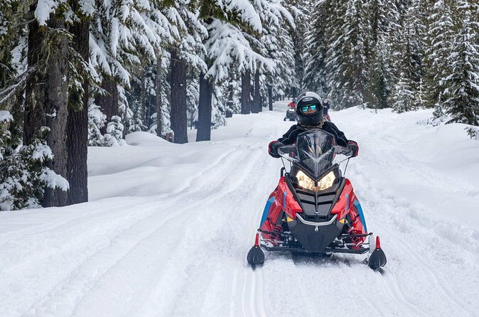 Mt Hood National Forest - 90 Minute Snowmobile Adventure - Who Will Love This Tour?
