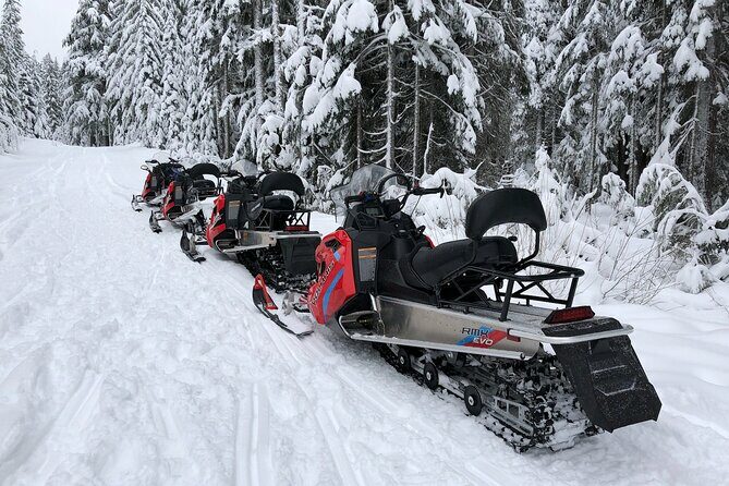 Mt Hood National Forest - 90 Minute Snowmobile Adventure - The Sum Up: A Solid Choice for Adventure and Scenery