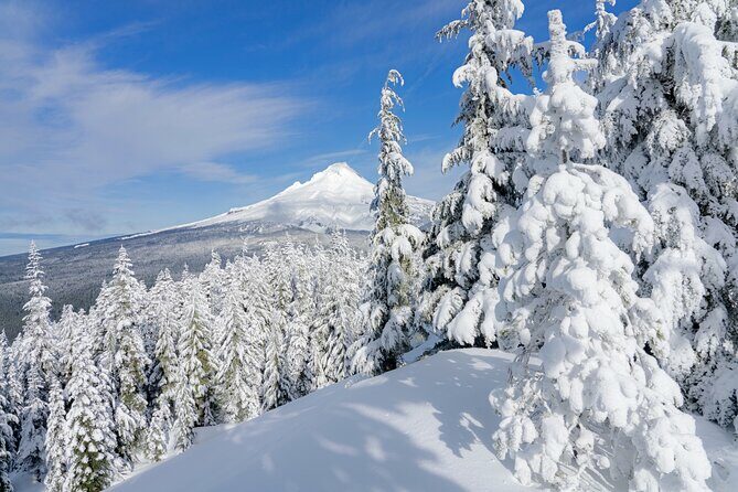 Mt. Hood Winter Wonderland Snowshoe Adventure - Key Points