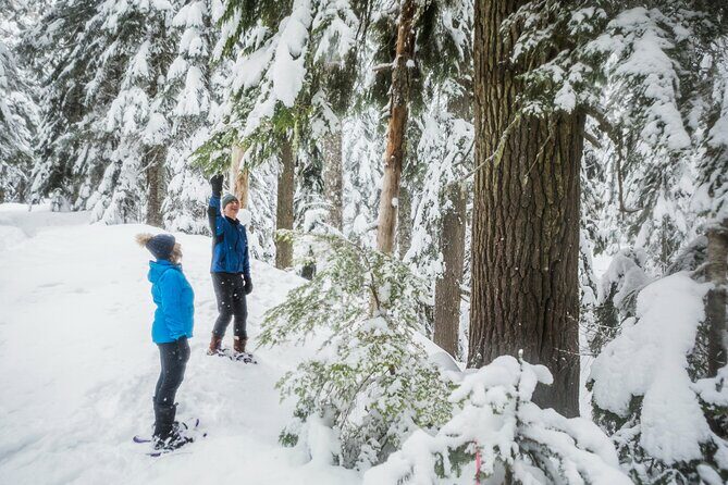 Mt. Hood Winter Wonderland Snowshoe Adventure - The Experience of the Guides and Facilities