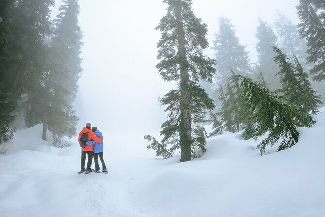 Mt. Hood Winter Wonderland Snowshoe Adventure - Who Will Love This Tour?