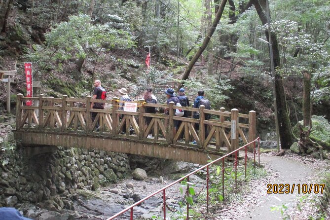 Mt. Inunaki Trekking and Hot Springs in Izumisano, Osaka - Dietary and Health Considerations