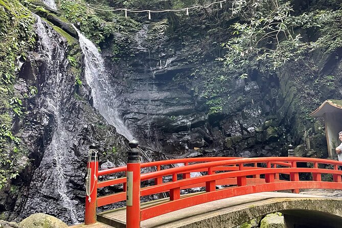 Mt. Inunaki Trekking and Waterfall Training in Izumisano Osaka - Trekking Through the Forest