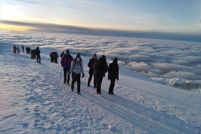 Mt Kilimanjaro Climb - 8 Days Lemosho - Pricing and Availability