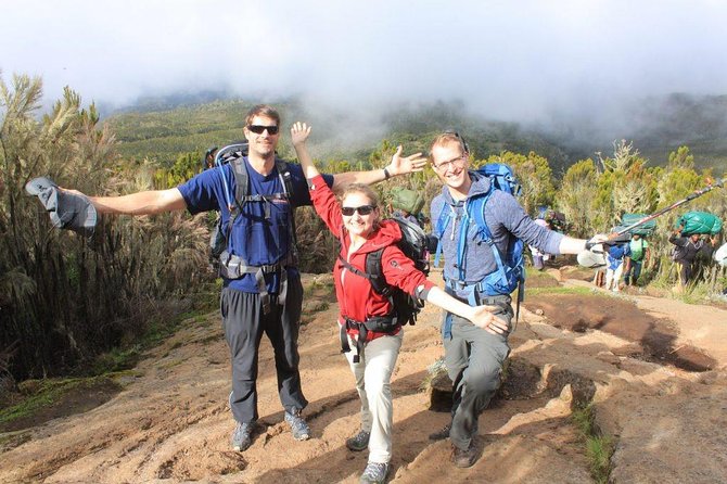 Mt Kilimanjaro Climbing; 6 Days Machame Route - Traveler Reviews and Ratings