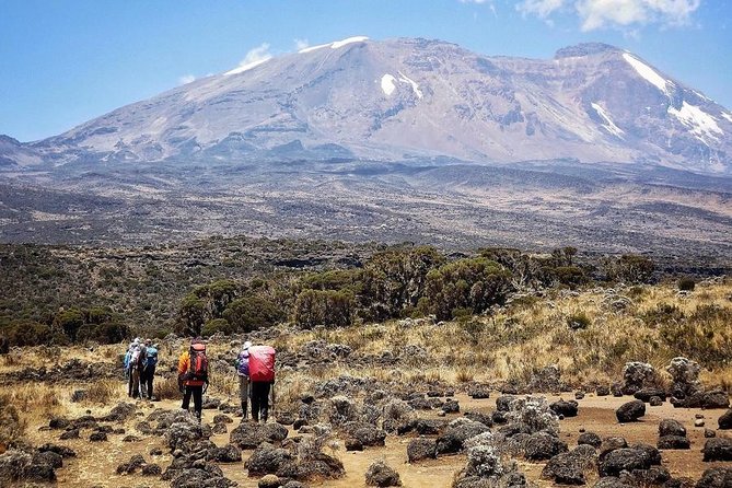 Mt.kilimanjaro Lemosho Route - Health and Accessibility