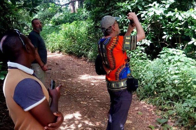 Mt. Kilimanjaro (Machame Route) - Meals Included