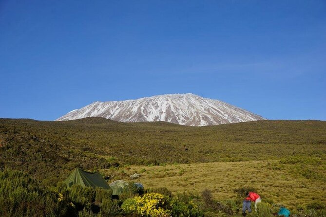 Mt. Kilimanjaro One Day Hike to Cathedral Point 3872M - Reviews and Feedback