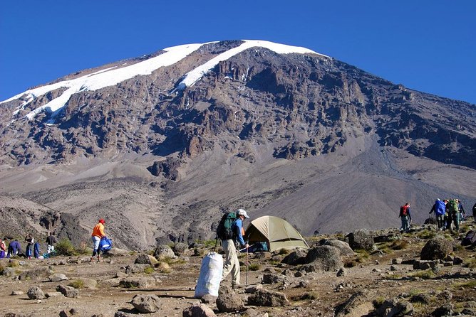 Mt Kilimanjaro Trekking (The Northern Circuit Route) - Meeting and Pickup