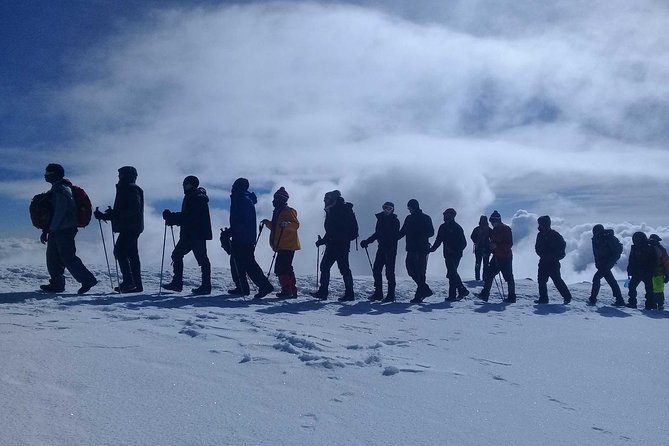 Mt Kilimanjaro Trekking (The Northern Circuit Route) - What to Expect