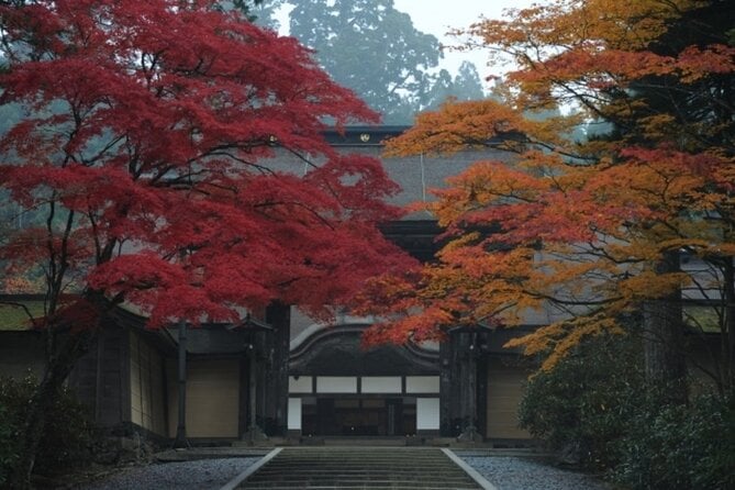 Mt Koya 1 Day Bus Tour From Osaka - Things to Bring and Prepare