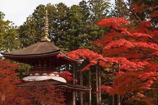 Mt Koya 1 Day Walking Tour From Osaka - Booking and Cancellation