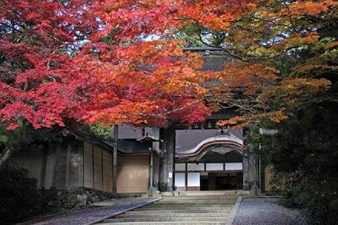 Mt Koya 1 Day Walking Tour From Osaka - Additional Information