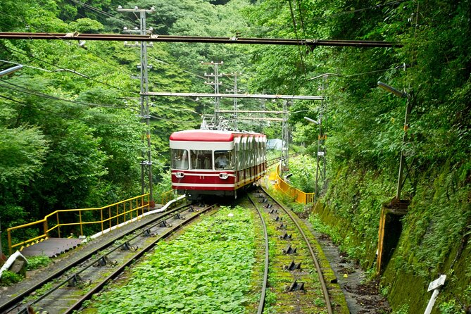 Mt. Koya Sacred 6hr Private Tour With Government Licensed Guide - Tour Itinerary