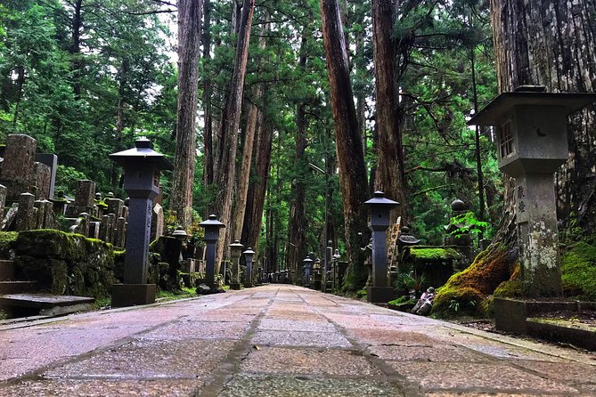 Mt. Koya Sacred Full-Day Private Tour (Osaka Departure) With Licensed Guide - Accessibility and Participation