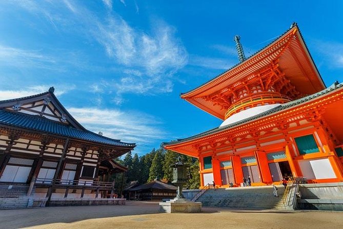 Mt. Koya Sacred Half-Day Private Tour With Government Licensed Guide - Cancellation Policy