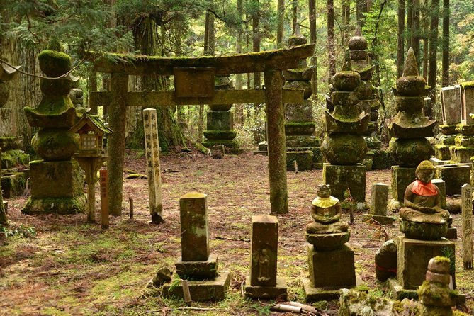 Mt. Koya Sacred Half-Day Private Tour With Government Licensed Guide - Private Transportation