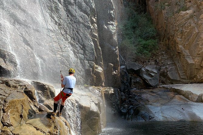 Mt. Lemmon Half Day Rock Climbing or Canyoneering in Arizona - Reviews and Ratings