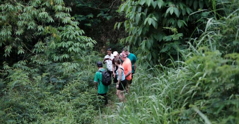 Mt. Merapi Majesty: Soft Trek and Botanic Village Tour - Trekking Experience