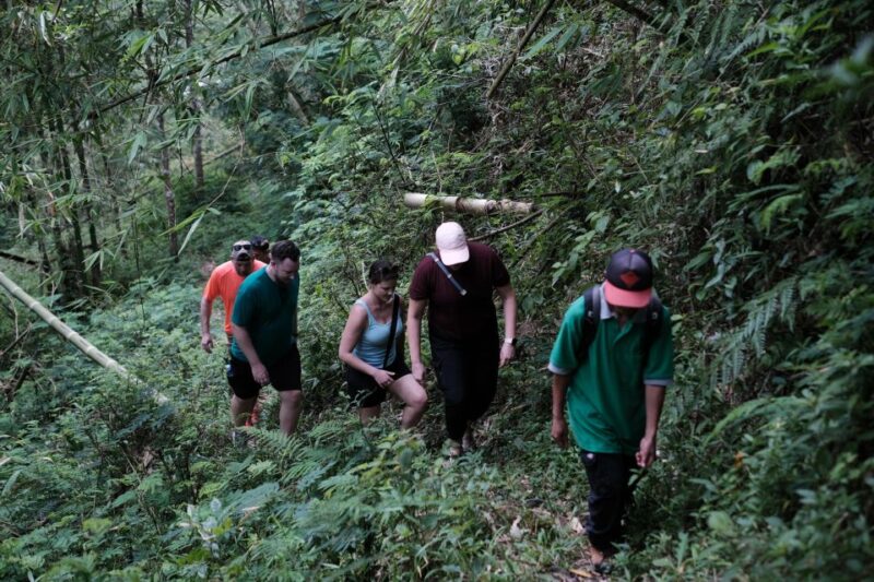 Mt. Merapi Majesty: Soft Trek and Botanic Village Tour - Botanical Exploration