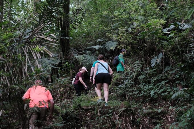Mt. Merapi Majesty: Soft Trek and Botanic Village Tour - What to Expect
