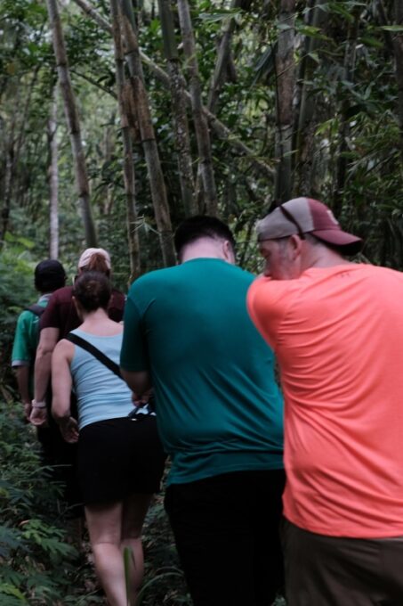 Mt. Merapi Majesty: Soft Trek and Botanic Village Tour - Customer Feedback