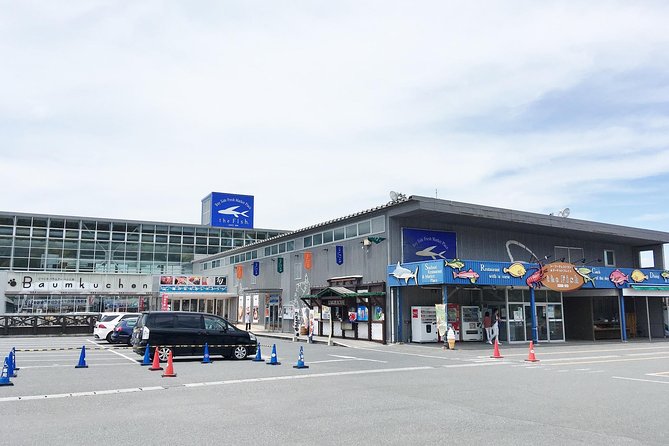 Mt. Nokogiri Hiking - 2nd Place in the Deep Spot Ranking - Booking and Logistics