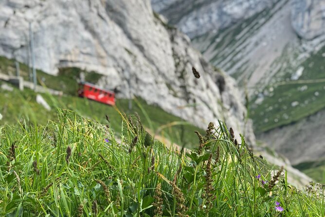 Mt. Pilatus and Cruise on Lake Lucerne Private Tour From Zurich - Pricing and Group Sizes