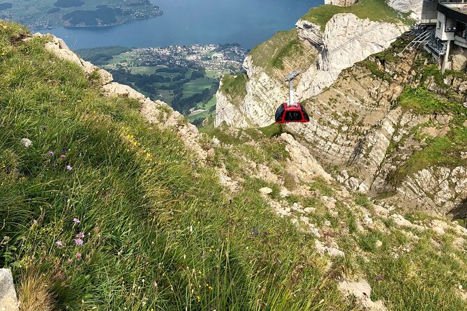 Mt. Pilatus With Cruise on Lake of Lucerne Small Group From Basel - Accessibility Features