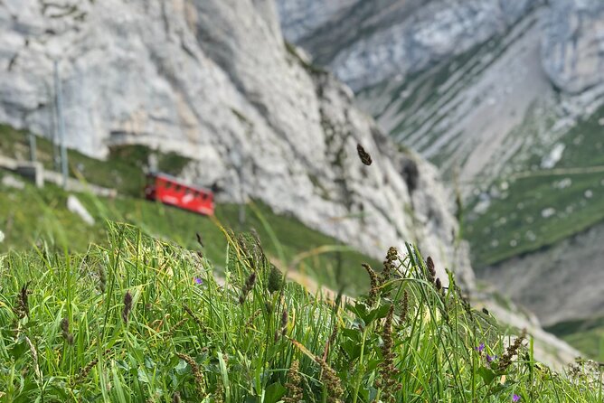 Mt. Pilatus With Lake of Lucerne Cruise Private Tour From Lucerne - Scenic Lake of Lucerne Cruise