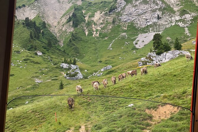Mt. Pilatus With Lake of Lucerne Cruise Private Tour From Lucerne - Transportation and Hotel Pickup/Drop-off