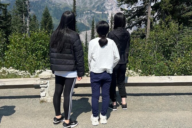 Mt Rainier Full Day (Luxury SUV GROUP of 6 Max) - Inclusions