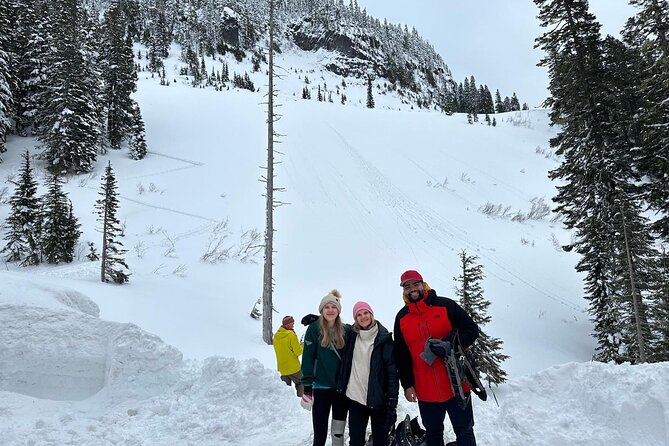 Mt Rainier Full Day (Luxury SUV GROUP of 6 Max) - Meeting and Pickup