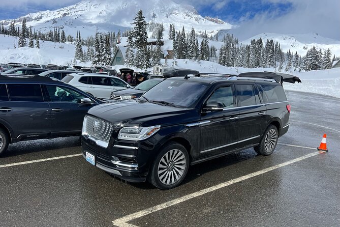 Mt Rainier Full Day (Luxury SUV GROUP of 6 Max) - Tour Experience
