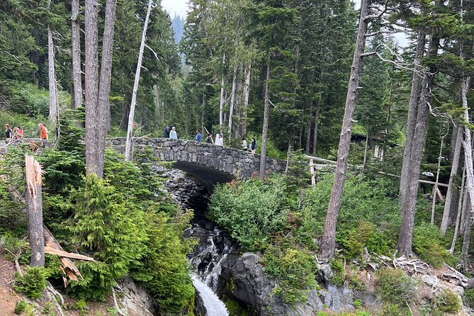 Mt Rainier Full Day (Luxury SUV GROUP of 6 Max) - Customer Feedback