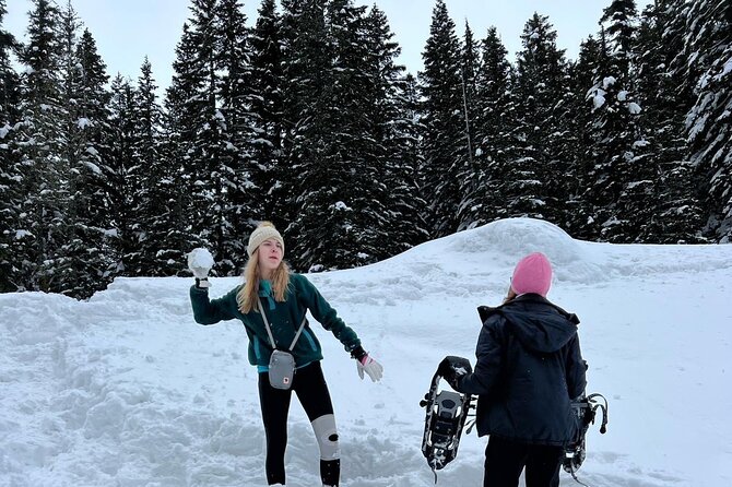 Mt Rainier Full Day (Luxury SUV GROUP of 6 Max) - Cancellation Policy