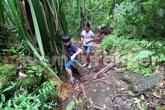Mt Rinjani Trekking 2 Days 1 Night (Senaru Crater Rim) - Inclusions