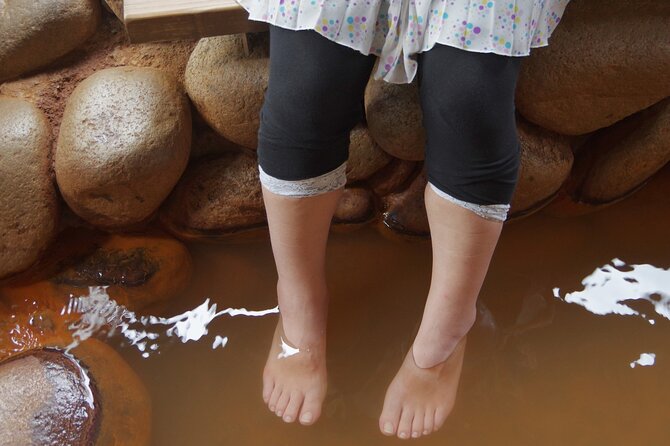 Mt. Rokko and Arima Hot Spring From Osaka - Itinerary and Flexibility