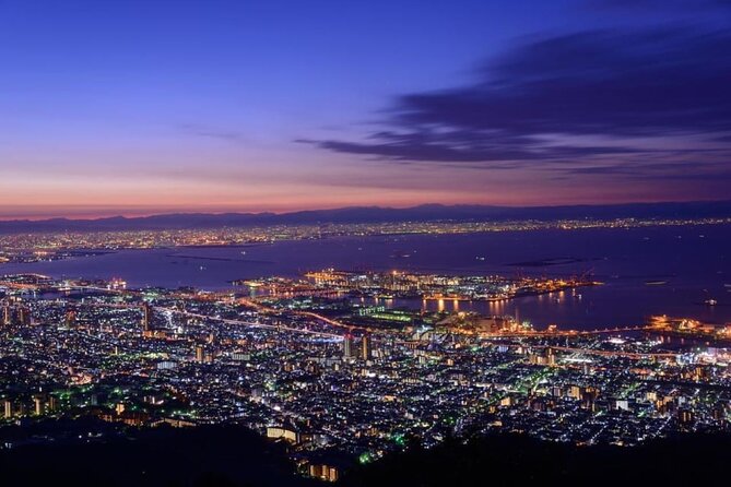 Mt. Rokko View, Kitano Ijinkan and Arima Onsen Tour - Traveler Reviews and Feedback