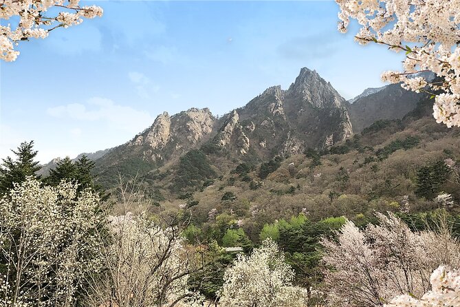 Mt. Seorak+Nami Island+Garden of Morning Calm Day Trip From Seoul - Hiking Trails at Mt. Seorak
