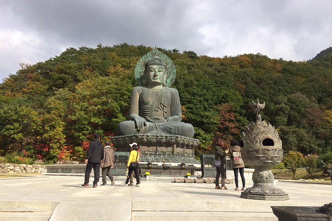 Mt. Seorak+Nami Island+Garden of Morning Calm Day Trip From Seoul - Included Entrance Tickets